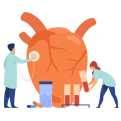 Cardiac Surgeon